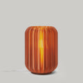 Mini Allium Table Lamp